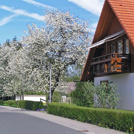 Ferienwohnung Am Schlosspark Шліц Екстер'єр фото