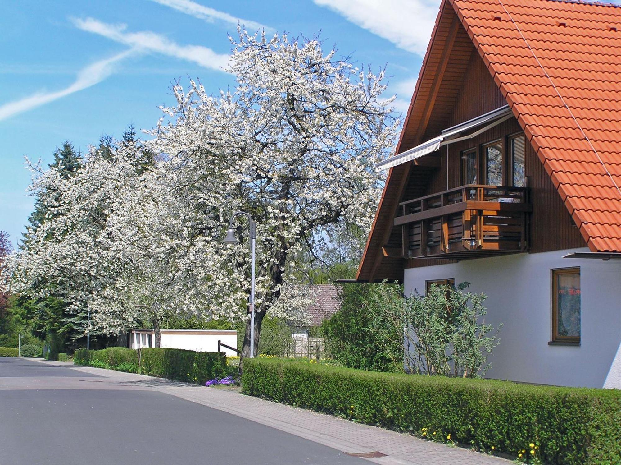 Ferienwohnung Am Schlosspark Шліц Екстер'єр фото